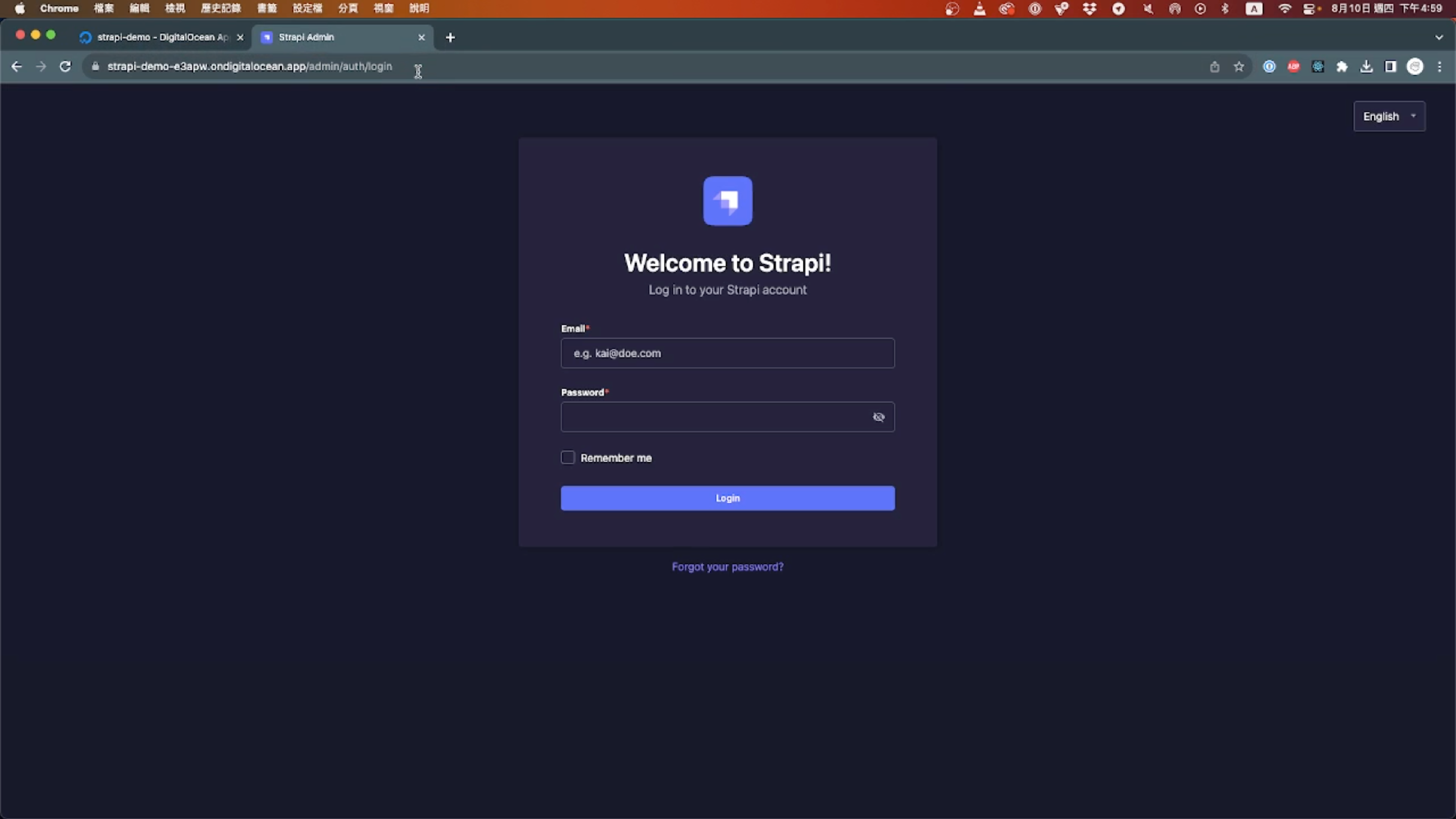 This link will lead you to the <link>/admin page, where you can log in and review the records you previously created. At this point, your Strapi CMS is fully operational, and you're all set for productive development.