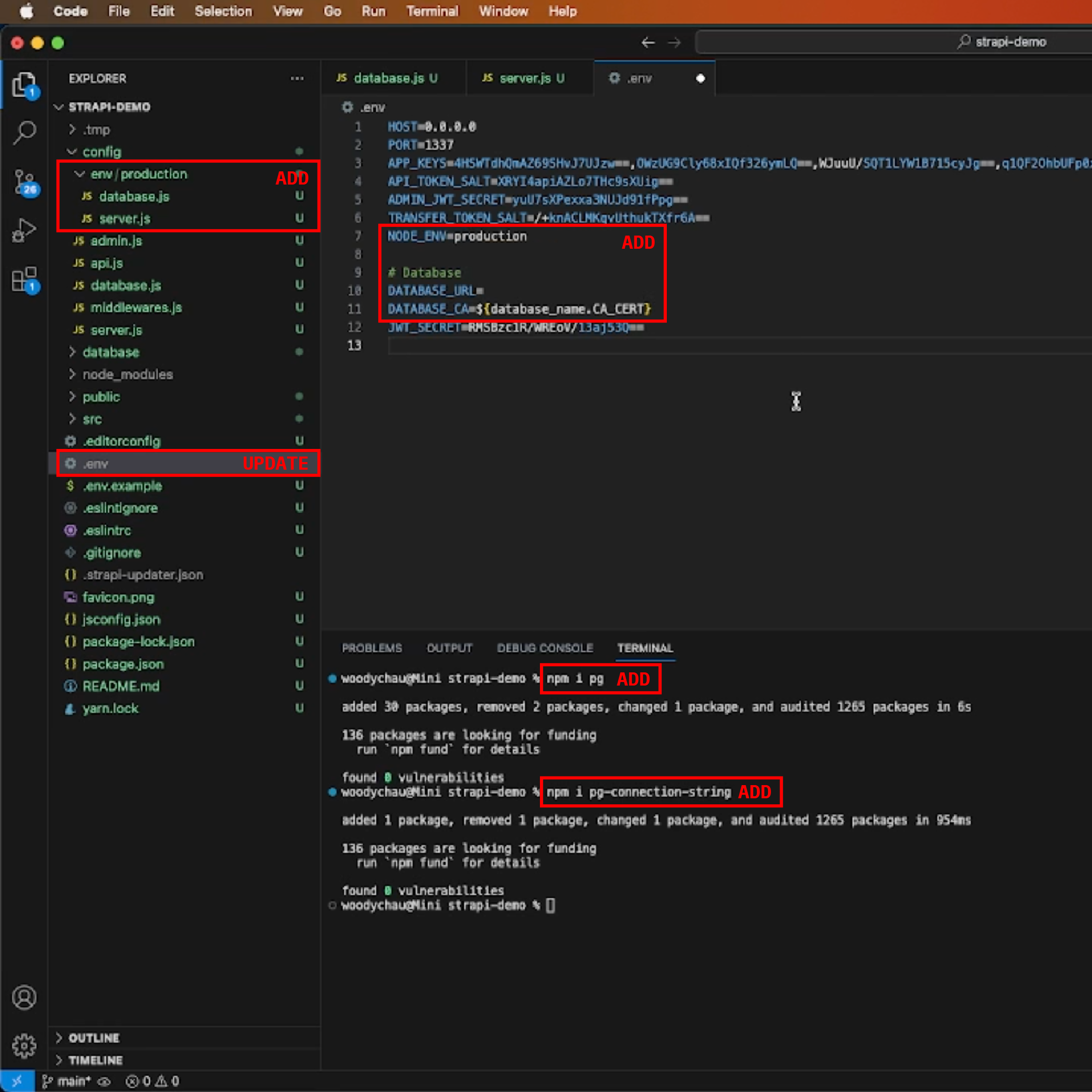 Open the <strapi-demo> folder in Visual Studio Code and launch a new terminal. We'll install the necessary dependencies and make configurations to the files.