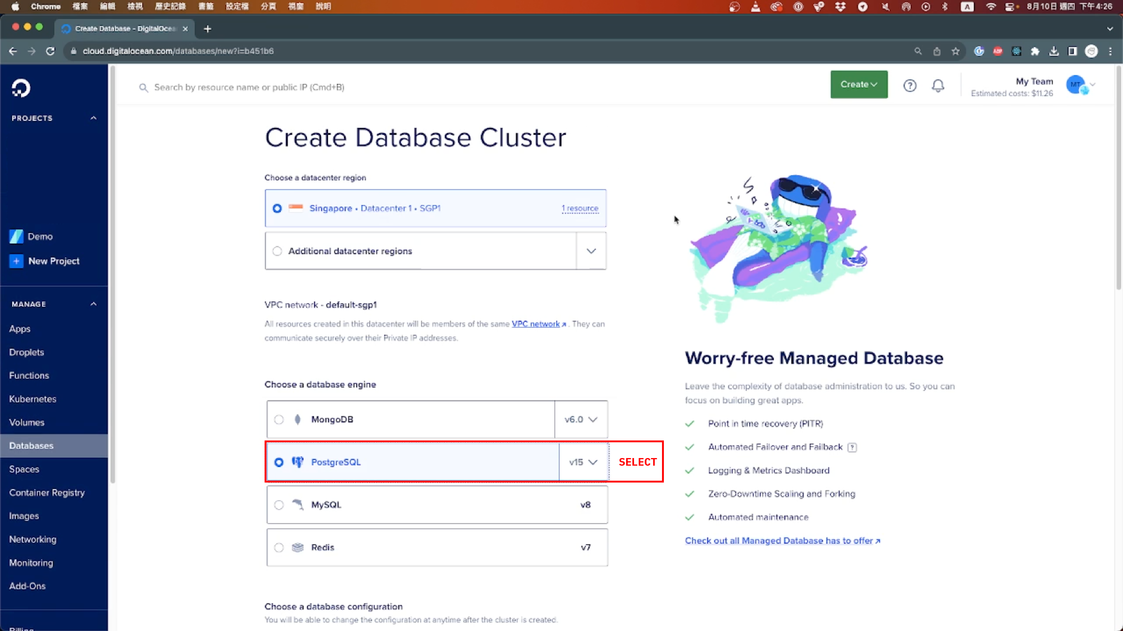 Proceed by choosing PostgreSQL as the database type.